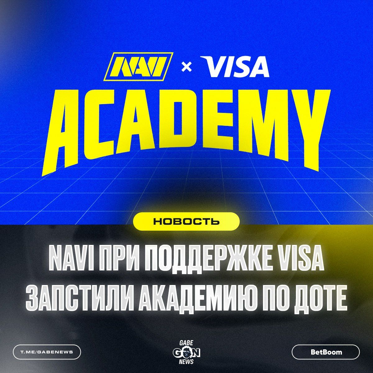NAVI Junior запускает академию для молодых талантов Dota 2 в сотрудничестве с Visa