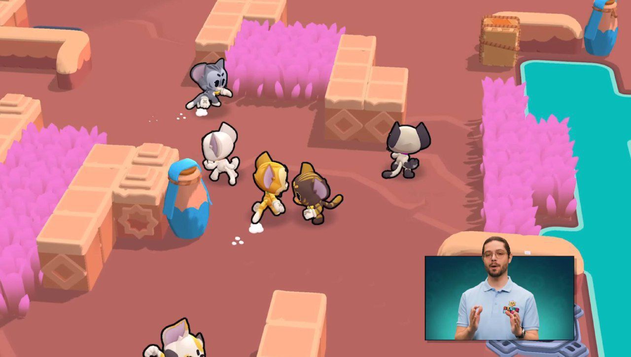 Brawl Stars: День Кошек! 6 Умилительных Скинов на Кита!