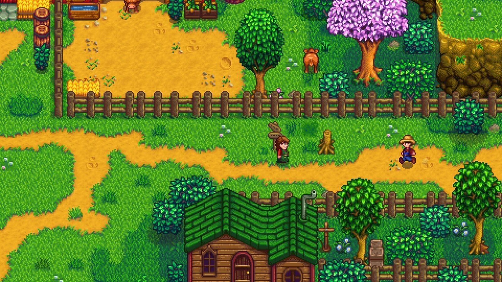 Создатель Stardew Valley подтвердил, что им движет любовь к играм
